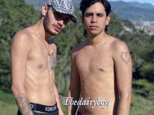Thedairyboys