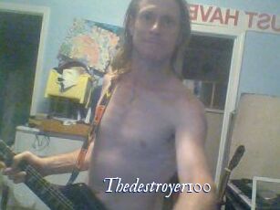 Thedestroyer100