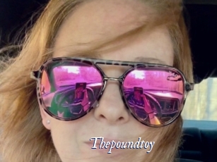 Thepoundtoy