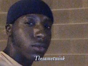 Thesametwink