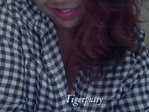 tigerpussy Cam 5