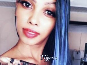 Tijgerin