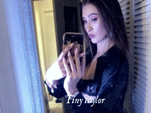 tiny_taylor Cam 5