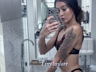 Tiny_taylorr