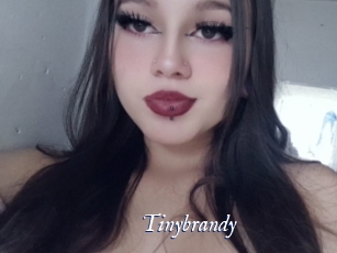 Tinybrandy