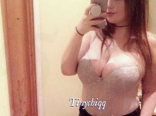 Tinychiqq