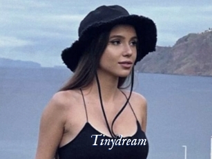 tinydream Cam 5