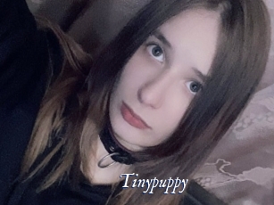Tinypuppy
