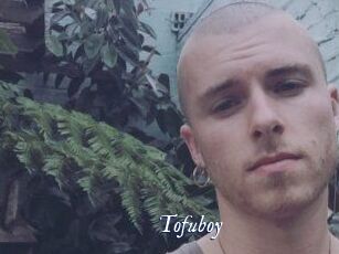 Tofu_boy