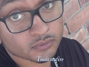 toodamnfire Cam 5