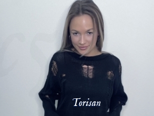 Torisan