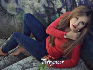 Torrymoor