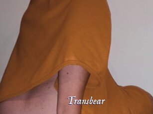 transbear Cam 5