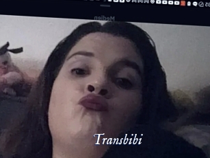Transbibi