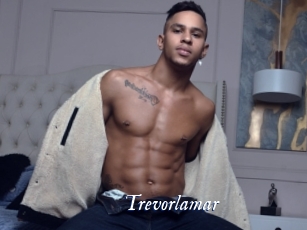 Trevorlamar