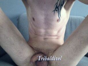 tribaldivel Cam 5