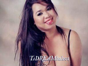 TsDREAMhalo01