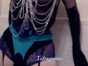 tsdragvenus Cam 5
