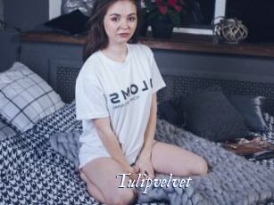 Tulipvelvet