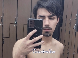 Twunkmikee