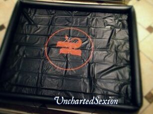 UnchartedSexion