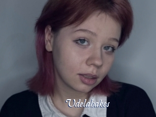 Udelahakes