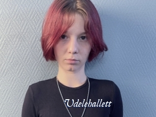 udelehallett Cam 5