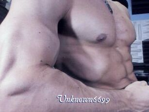 Unknown6699