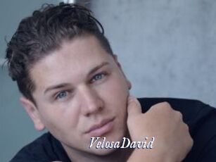 VelosaDavid