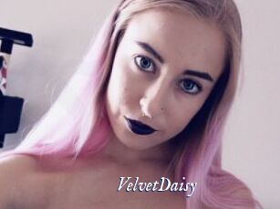 VelvetDaisy