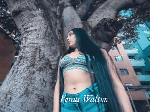 Venus_Walton