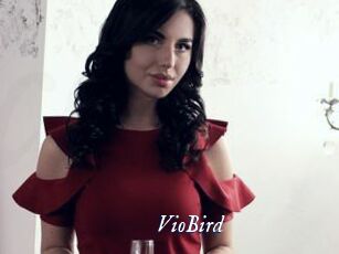 VioBird