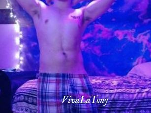 VivaLaTony Cam 5