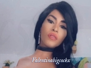 valentinabigcockx Cam 5