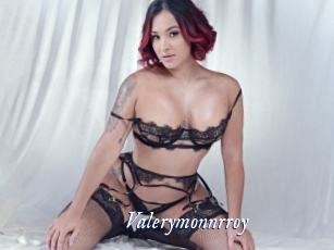 valerymonnrroy Cam 5