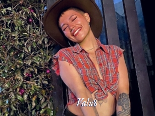 valu8 Cam 5