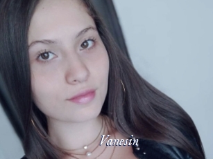 vanesin Cam 5