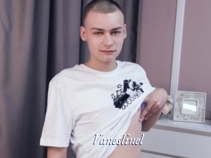 Vaneslinel