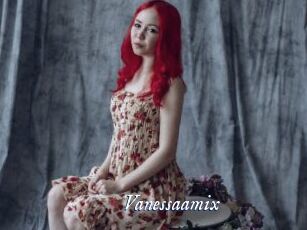 Vanessaamix