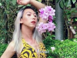 Vannie