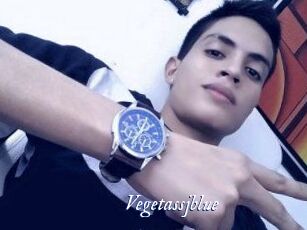 vegetassjblue Cam 5
