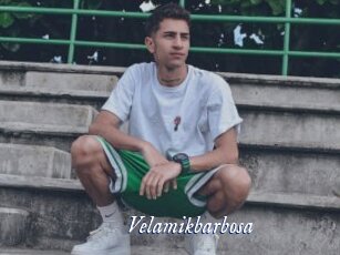 Velamikbarbosa