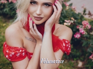 Velunavice