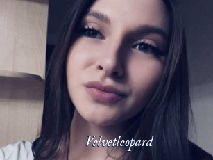 Velvetleopard
