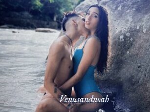 Venusandnoah