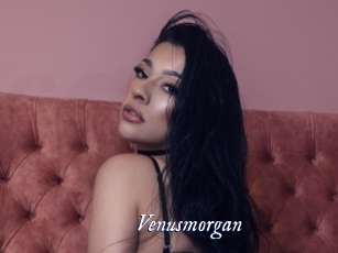 Venusmorgan