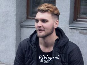 Vikingrub