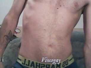 Vincegay