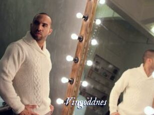 Vingoddnes