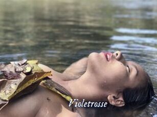 Violetrosse